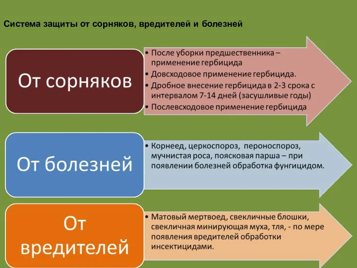 Система защиты от сорняков, вредителей и болезней