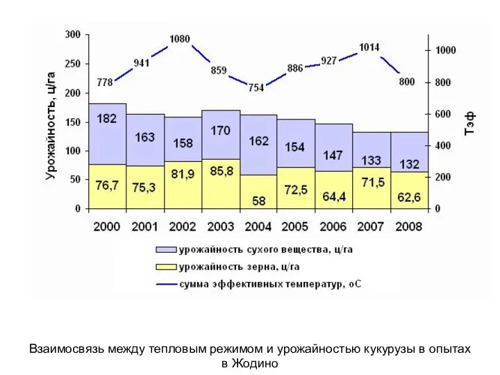 Взаимосвязь между тепловым режимом и урожайностью кукурузы в опытах в Жодино