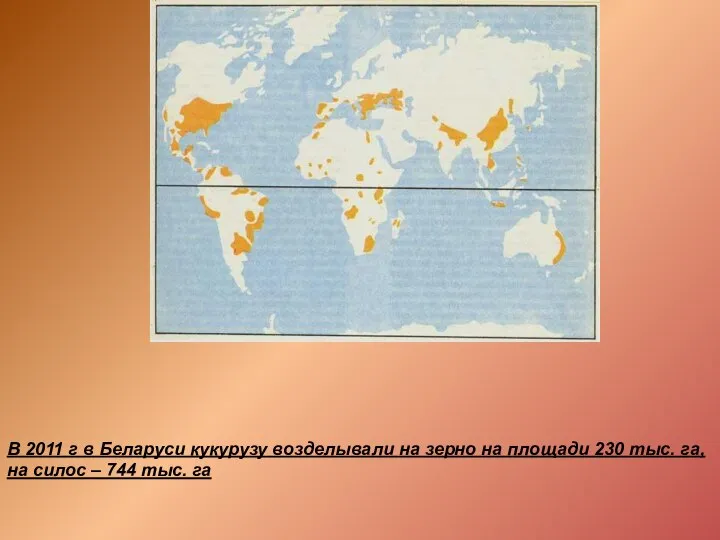 В 2011 г в Беларуси кукурузу возделывали на зерно на площади