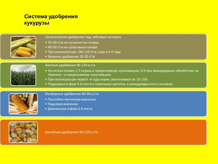 Система удобрения кукурузы