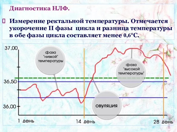 Диагностика НЛФ. Измерение ректальной температуры. Отмечается укорочение II фазы цикла и