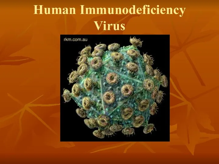 Human Immunodeficiency Virus