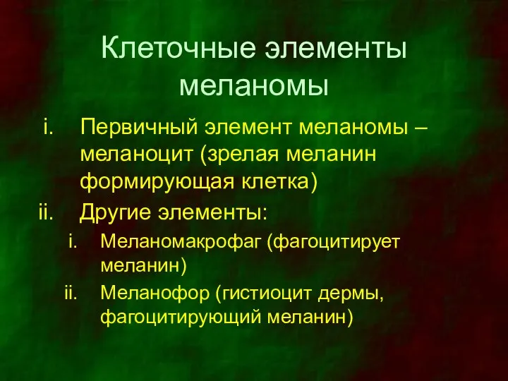 Клеточные элементы меланомы Первичный элемент меланомы – меланоцит (зрелая меланин формирующая