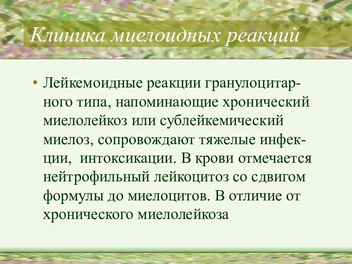 Клиника миелоидных реакций Лейкемоидные реакции гранулоцитар-ного типа, напоминающие хронический миелолейкоз или