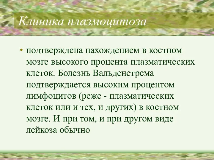 Клиника плазмоцитоза подтверждена нахождением в костном мозге высокого процента плазматических клеток.