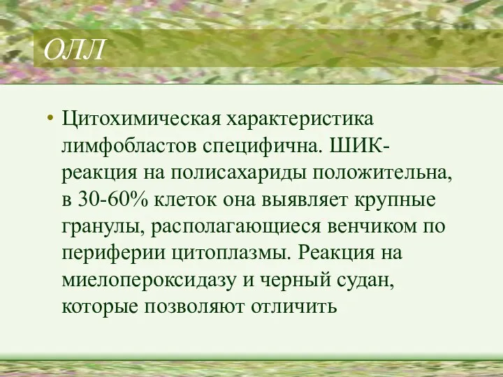 ОЛЛ Цитохимическая характеристика лимфобластов специфична. ШИК-реакция на полисахариды положительна, в 30-60%