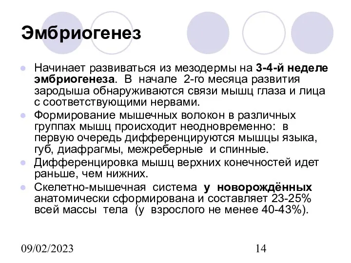 09/02/2023 Эмбриогенез Начинает развиваться из мезодермы на 3-4-й неделе эмбриогенеза. В