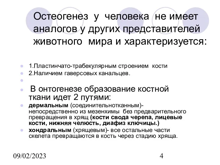 09/02/2023 Остеогенез у человека не имеет аналогов у других представителей животного