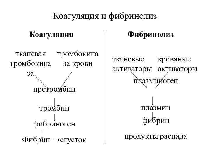 Коагуляция и фибринолиз Коагуляция Фибринолиз