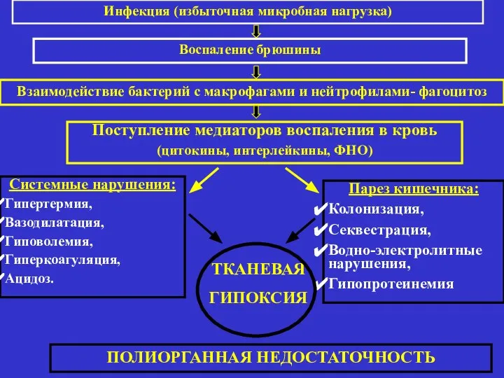 Инфекция (избыточная микробная нагрузка) Воспаление брюшины Взаимодействие бактерий с макрофагами и