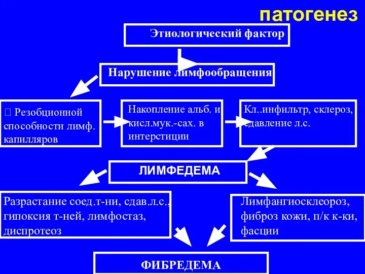 патогенез Этиологический фактор Нарушение лимфообращения ? Резобционной способности лимф. капилляров Накопление