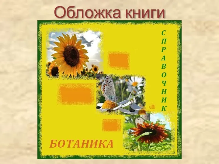 Обложка книги