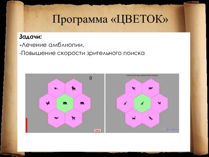 Программа «ЦВЕТОК» Задачи: -Лечение амблиопии, -Повышение скорости зрительного поиска