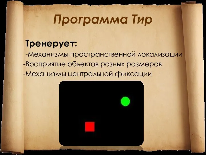 Программа Тир Тренерует: -Механизмы пространственной локализации Восприятие объектов разных размеров Механизмы центральной фиксации