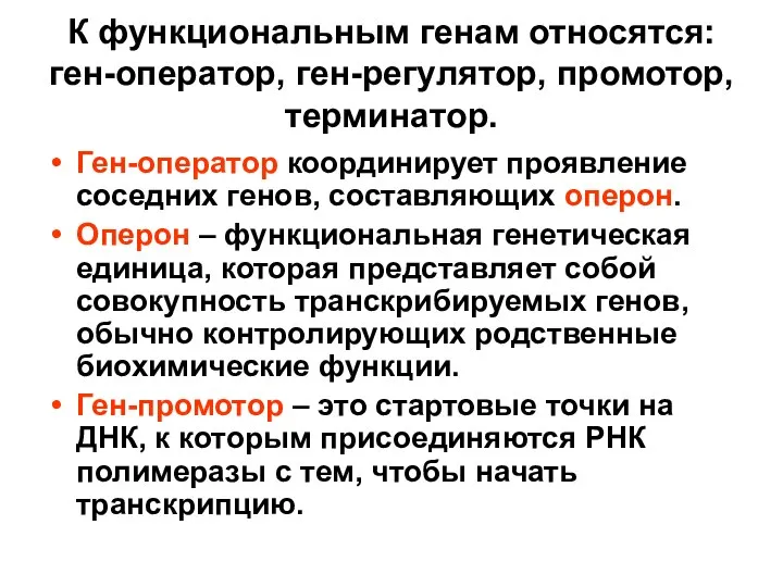 К функциональным генам относятся: ген-оператор, ген-регулятор, промотор, терминатор. Ген-оператор координирует проявление