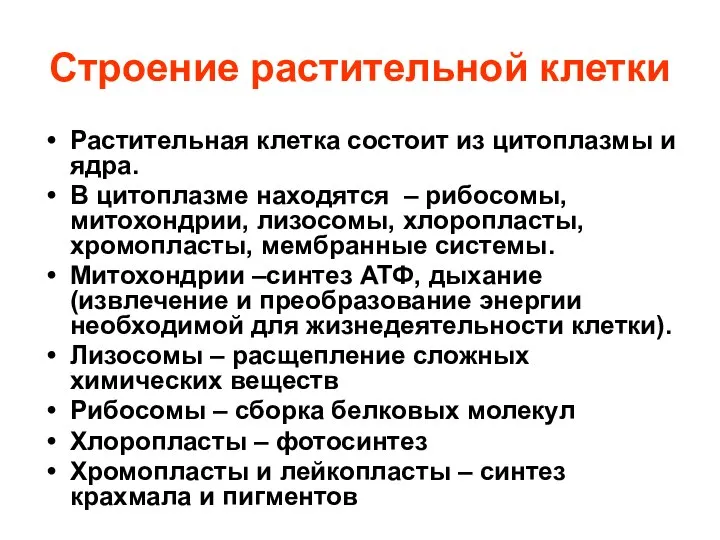 Строение растительной клетки Растительная клетка состоит из цитоплазмы и ядра. В