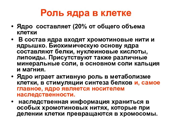 Роль ядра в клетке Ядро составляет (20% от общего объема клетки