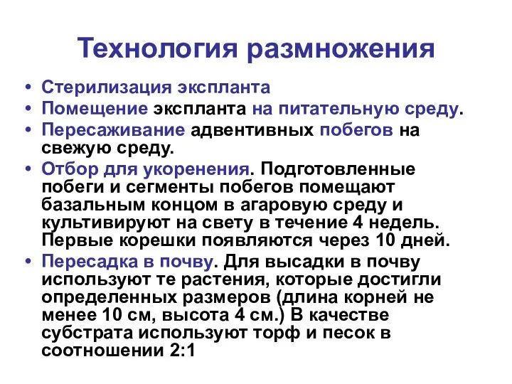 Технология размножения Стерилизация экспланта Помещение экспланта на питательную среду. Пересаживание адвентивных