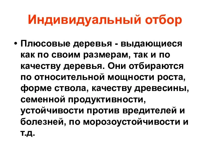 Индивидуальный отбор Плюсовые деревья - выдающиеся как по своим размерам, так