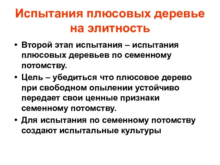 Испытания плюсовых деревье на элитность Второй этап испытания – испытания плюсовых