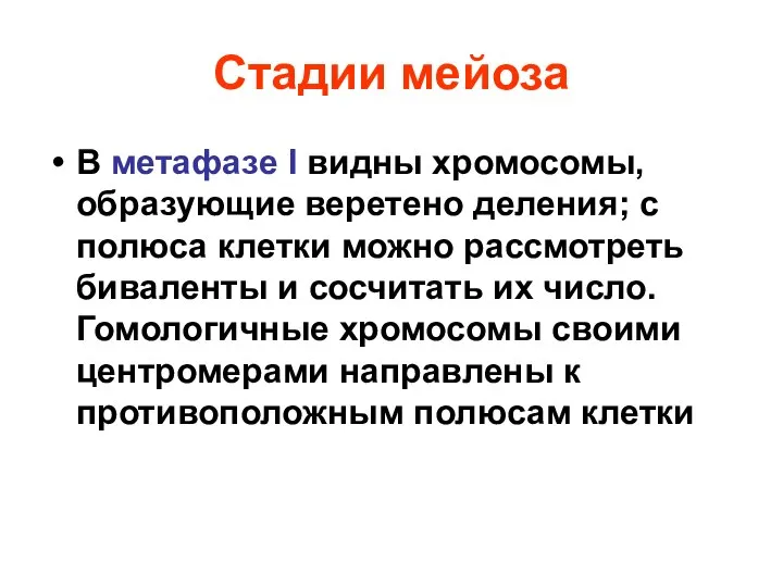 Стадии мейоза В метафазе I видны хромосомы, образующие веретено деления; с