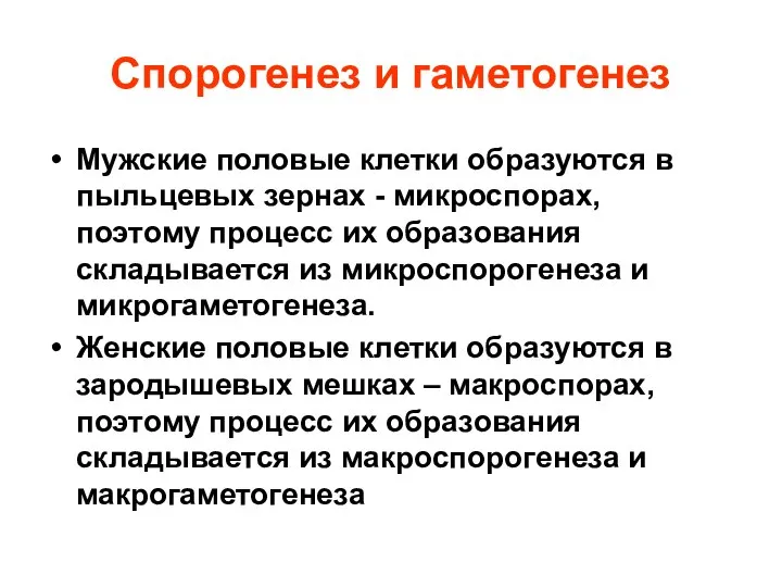 Спорогенез и гаметогенез Мужские половые клетки образуются в пыльцевых зернах -