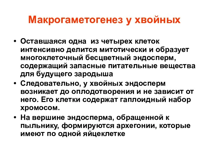 Макрогаметогенез у хвойных Оставшаяся одна из четырех клеток интенсивно делится митотически