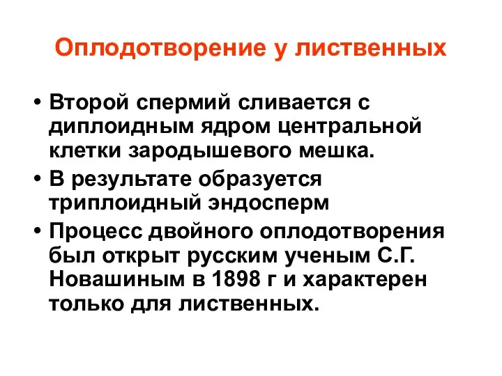 Оплодотворение у лиственных Второй спермий сливается с диплоидным ядром центральной клетки