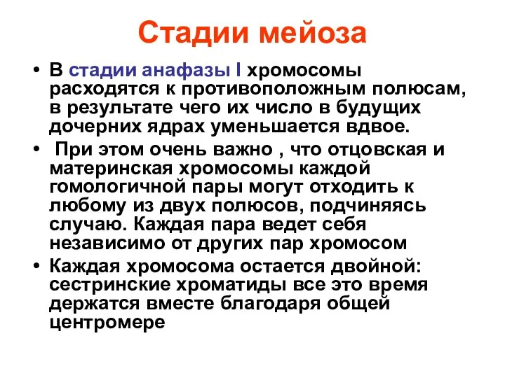 Стадии мейоза В стадии анафазы I хромосомы расходятся к противоположным полюсам,