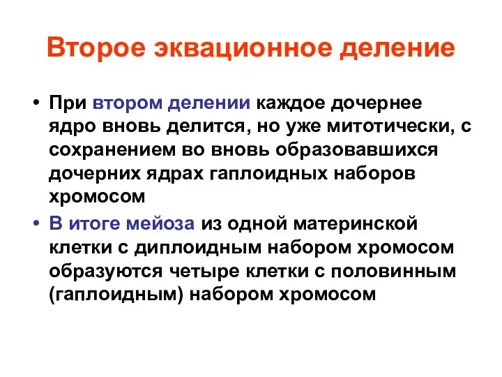 Второе эквационное деление При втором делении каждое дочернее ядро вновь делится,