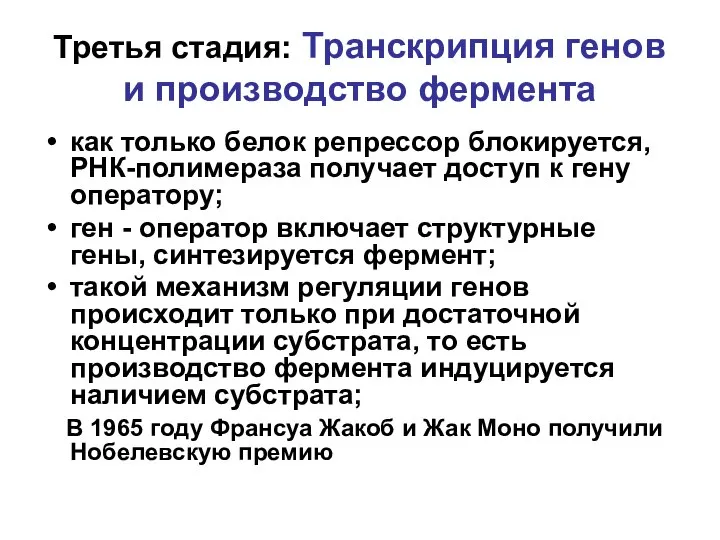 Третья стадия: Транскрипция генов и производство фермента как только белок репрессор