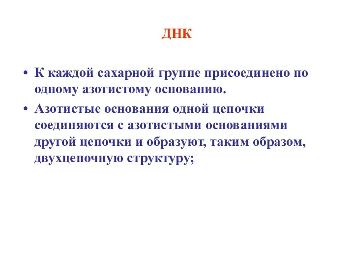 ДНК К каждой сахарной группе присоединено по одному азотистому основанию. Азотистые