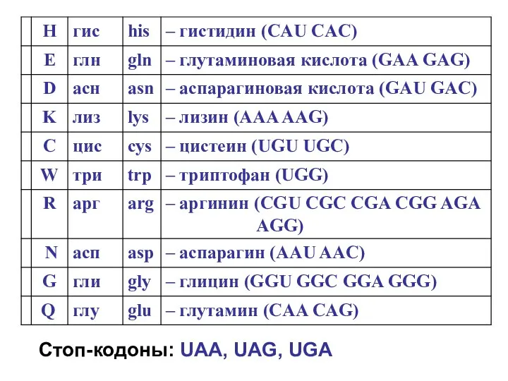 Стоп-кодоны: UAA, UAG, UGA