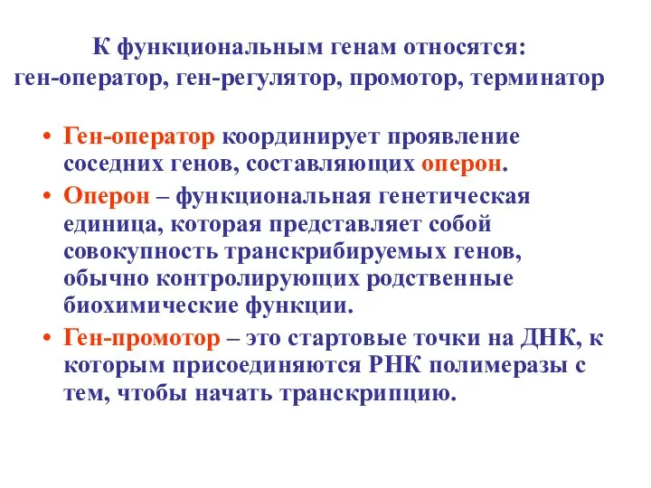 К функциональным генам относятся: ген-оператор, ген-регулятор, промотор, терминатор Ген-оператор координирует проявление