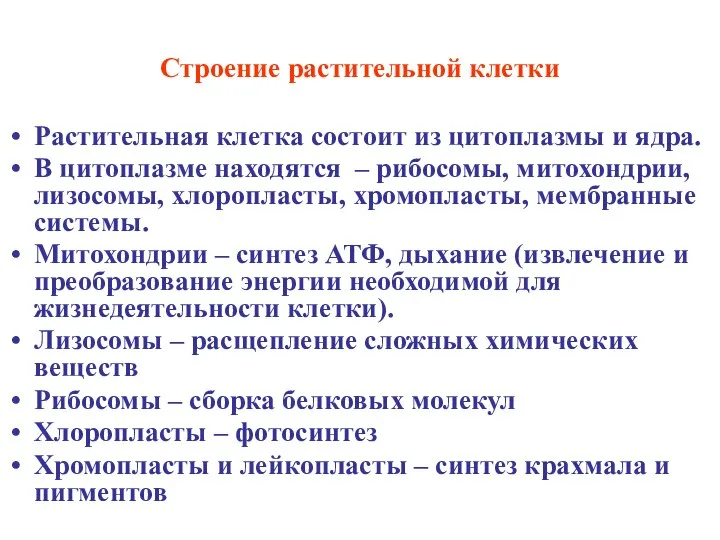 Строение растительной клетки Растительная клетка состоит из цитоплазмы и ядра. В