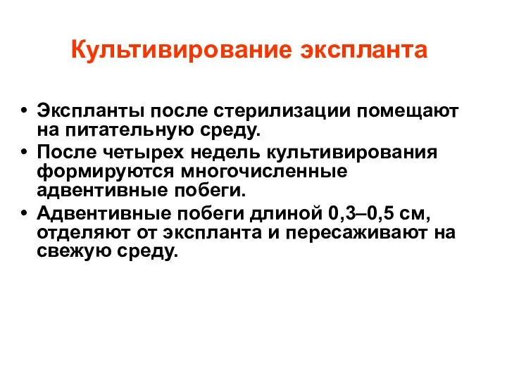 Культивирование экспланта Экспланты после стерилизации помещают на питательную среду. После четырех