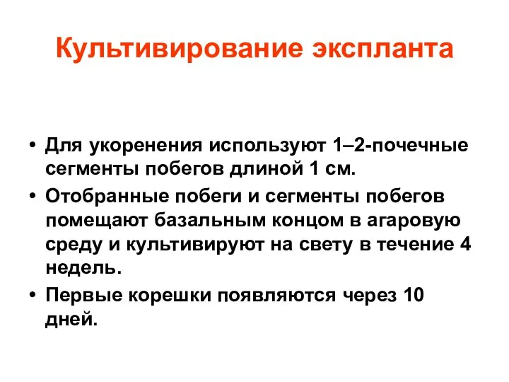 Культивирование экспланта Для укоренения используют 1–2-почечные сегменты побегов длиной 1 см.