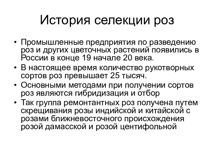 История селекции роз Промышленные предприятия по разведению роз и других цветочных