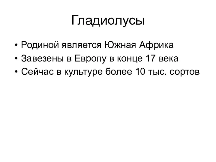 Гладиолусы Родиной является Южная Африка Завезены в Европу в конце 17