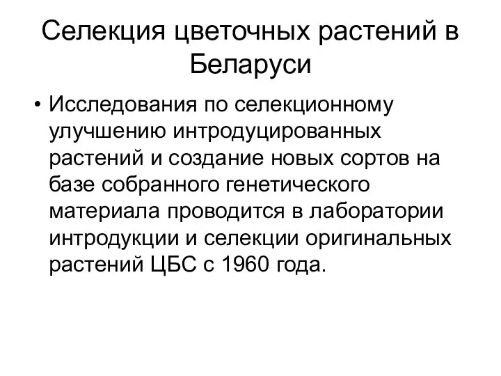 Селекция цветочных растений в Беларуси Исследования по селекционному улучшению интродуцированных растений