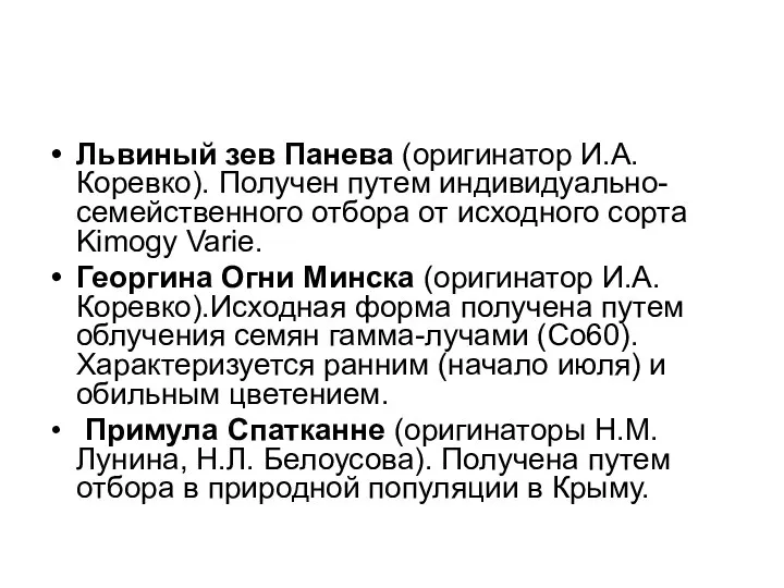 Львиный зев Панева (оригинатор И.А. Коревко). Получен путем индивидуально-семейственного отбора от