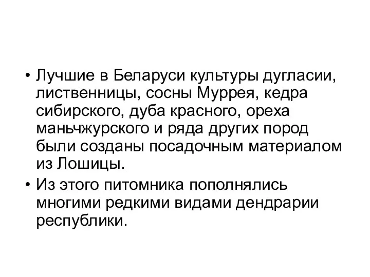 Лучшие в Беларуси культуры дугласии, лиственницы, сосны Муррея, кедра сибирского, дуба