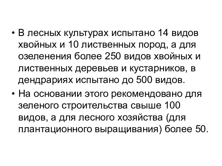 В лесных культурах испытано 14 видов хвойных и 10 лиственных пород,