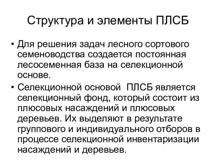 Структура и элементы ПЛСБ Для решения задач лесного сортового семеноводства создается