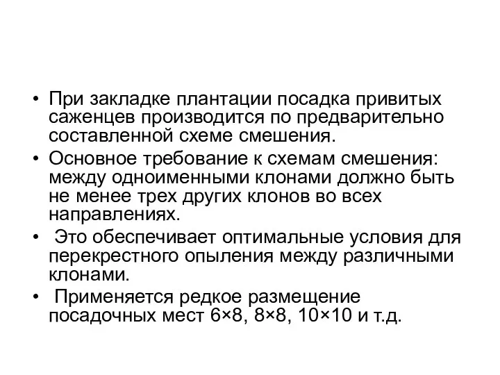 При закладке плантации посадка привитых саженцев производится по предварительно составленной схеме