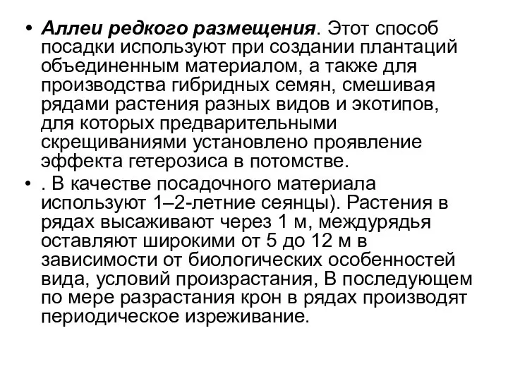 Аллеи редкого размещения. Этот способ посадки используют при создании плантаций объединенным