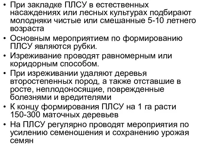 При закладке ПЛСУ в естественных насаждениях или лесных культурах подбирают молодняки