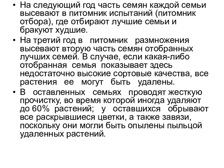 На следующий год часть семян каждой семьи высевают в питомник испытаний