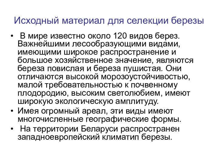 Исходный материал для селекции березы В мире известно около 120 видов