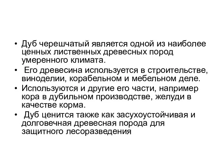 Дуб черешчатый является одной из наиболее ценных лиственных древесных пород умеренного